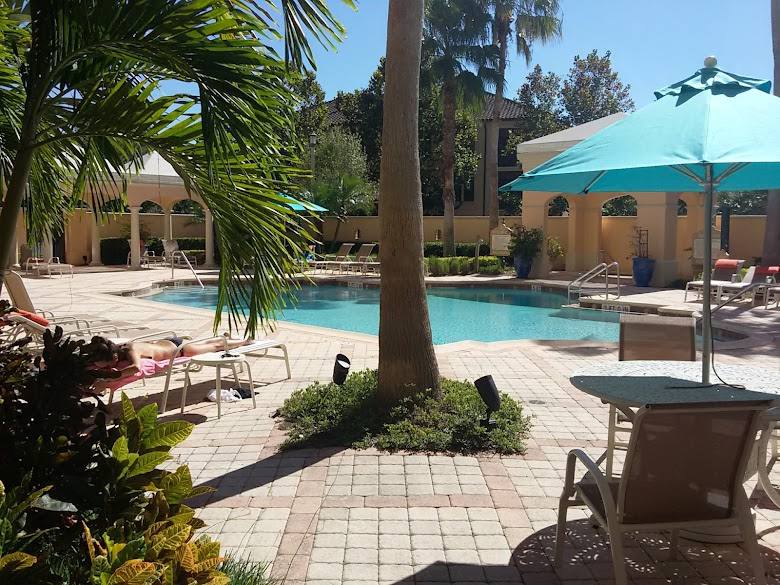Mirasol photo