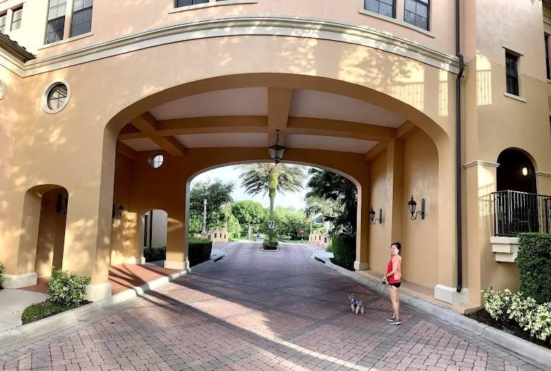 Mirasol photo